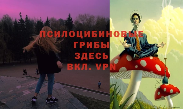 гидропоника Абдулино