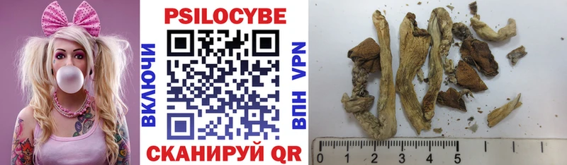 Псилоцибиновые грибы Psilocybe  Александров 