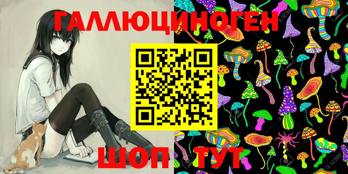 Галлюциногенные грибы Psilocybe Александров